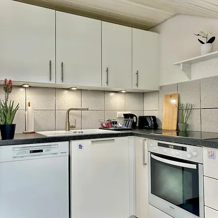 Apartment Basel, Schwarzwald Und Frankreich Entdecken Neu Lorrach