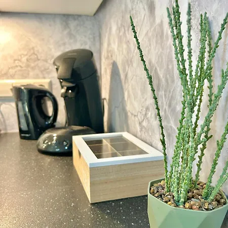 Basel Ch, Frankreich Entdecken - Neu Nahe Airport Apartmán Lörrach